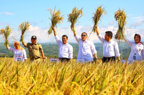 Judul Pengumuman 4 CMS Kementan